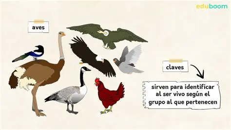 Criterios para identificar a un ser vivo