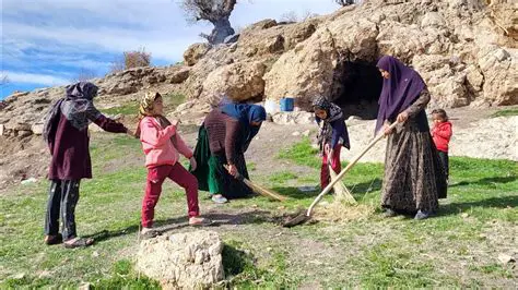 Cultural and social attractions