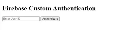 Custom authentication logic