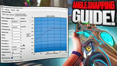 Custom Guides and Field Snapping