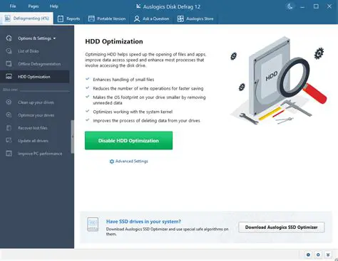 Customizable Defragmentation Options