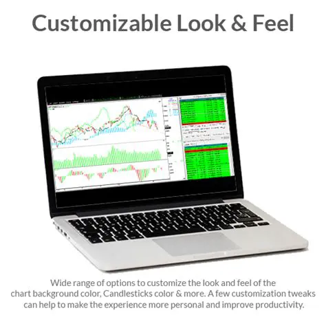 Customizable Look and Feel