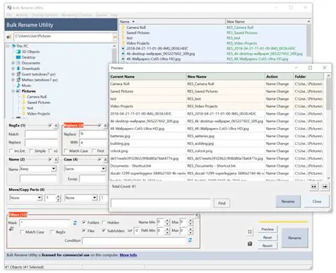 Customizable Renaming Options
