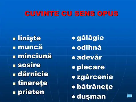 Cuvinte cu sensuri multiple