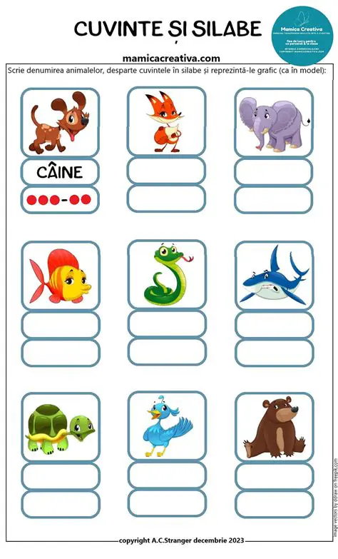 Cuvinte cu Silabe de Sufix