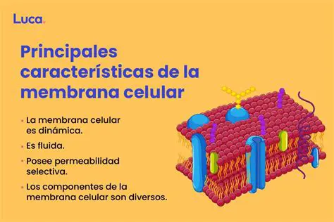 Danificar a membrana celular