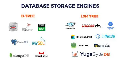 Database Engine and Framework Support