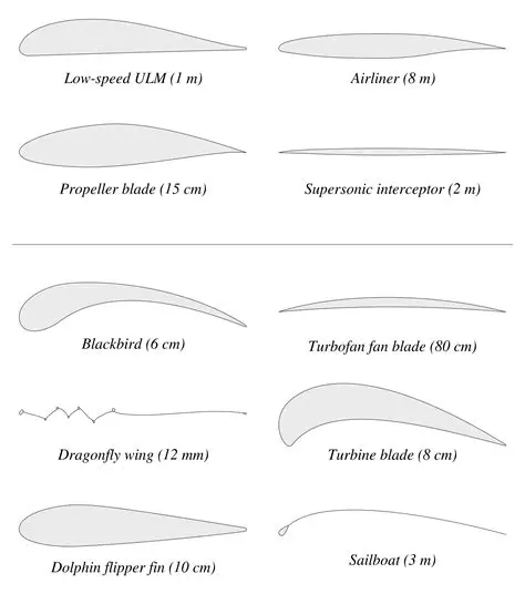 Database of Precomputed Airfoils