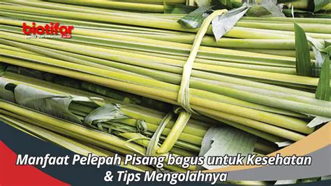 Daun Pisang atau Pelepah Pisang