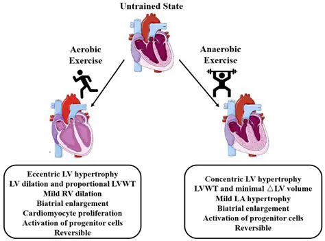 Decreased aerobic capacity