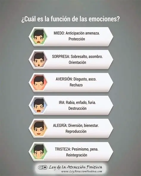 Definiciones de las Emociones