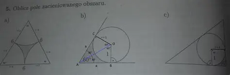 Definicja pola zacieniowanego