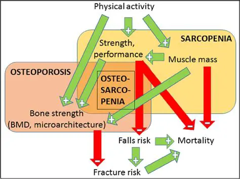 Defining Sarcopenia and Osteoporosis