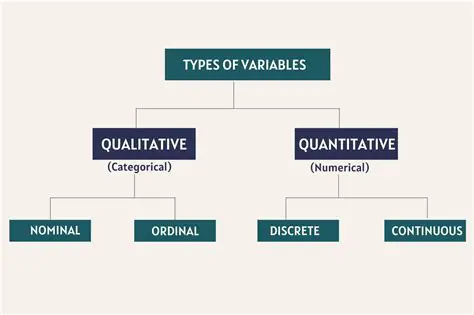 Defining the Variables and Given Information