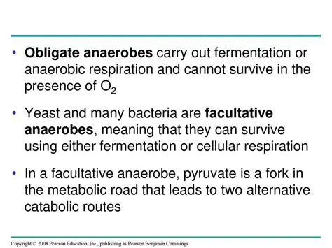 Definition and Characteristics of Obligate Anaerobes