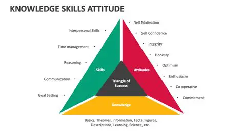 Demonstrates skills and knowledge