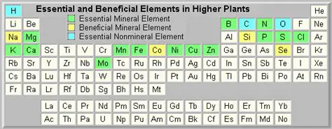 Depletion of Essential Elements