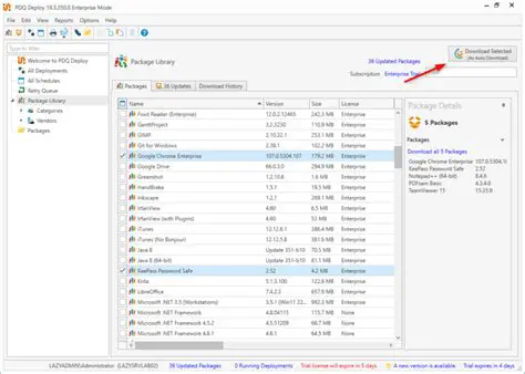 Deploy the Updated Client Library