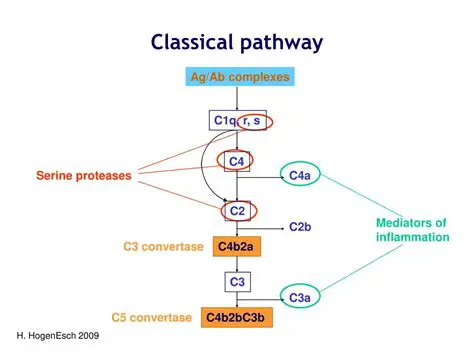 Derivation of the Classical Path
