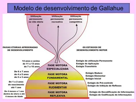 Desafios da Fase Rudimentar