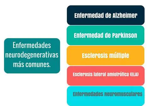 Desarrollo de tratamientos para enfermedades neurodegenerativas