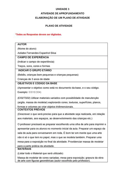 Descreva as atividades realizadas