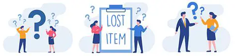 Description of the Lost Item