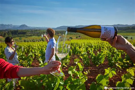 Descubre la Magia del Baix Penedès: Tradición, Vino y Paisajes que Enamoran