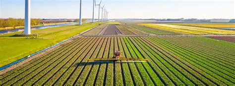 Desenvolvimento da agricultura