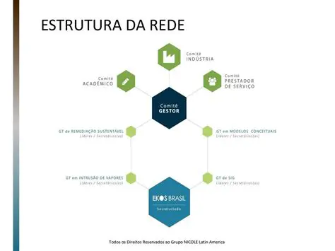 Desenvolvimento da estrutura da rede