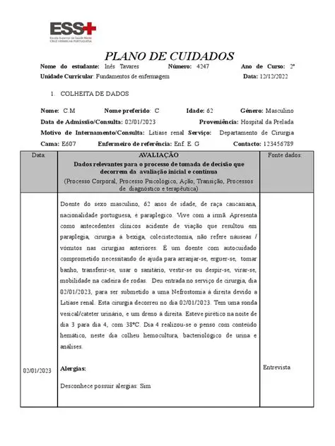 Desenvolvimento de planos de cuidados