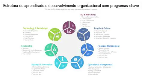 Desenvolvimento de uma estrutura organizacional clara e definida