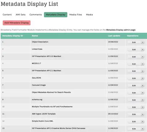 Design the metadata display