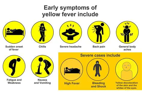 Details about yellow fever