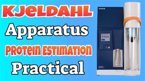 Determination of Protein Content in Cattle Shredded Various Brands with the Kjeldahl Method