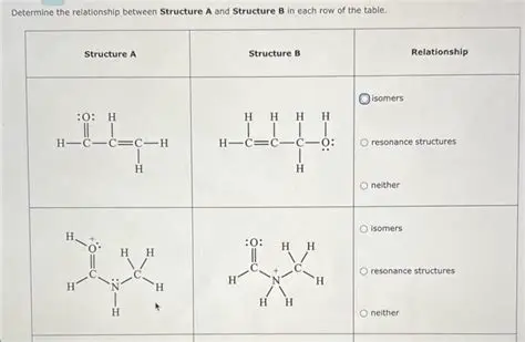 Determine the relationship between the concepts