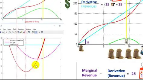 Determining the Optimal Level of Production