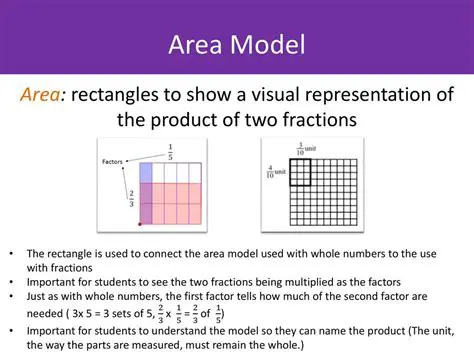 Determining the Width of the Area Model
