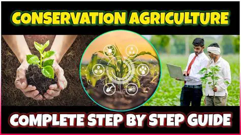 Develop a model of conservation of oral traditions