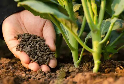 Develop new organic fertilizers