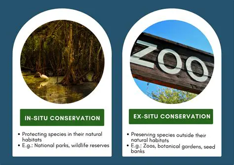 Development of conservation strategies