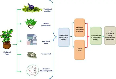 Development of Natural Antibacterial Products