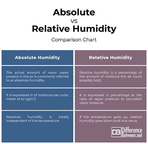 Differences between Absolute and Relative Humidity