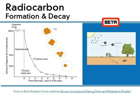 Differences Between Bone Scan Imaging and Radiocarbon Dating