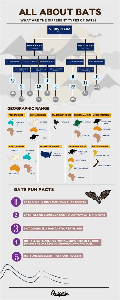 Different types of bats and balls