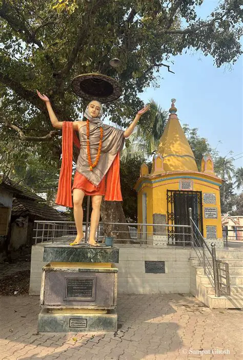 ডিম: পুষ্টির powerhouse – স্বাস্থ্যকর জীবনযাত্রার জন্য অপরিহার্য