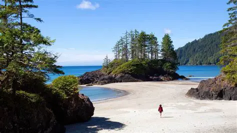 Discover the Hidden Gem of Long Beach on Vancouver Island