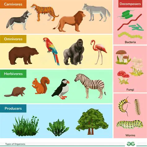 Display diagrams for a wide range of organisms and tissue types