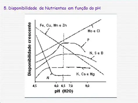 Disponibilidade de nutrientes