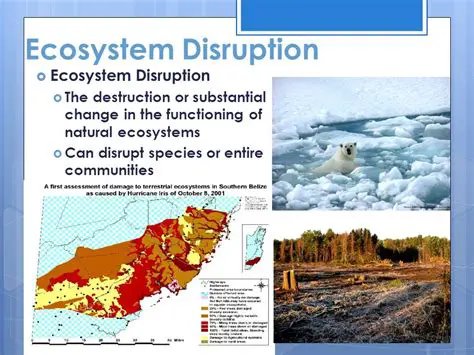 Disrupted ecosystem processes